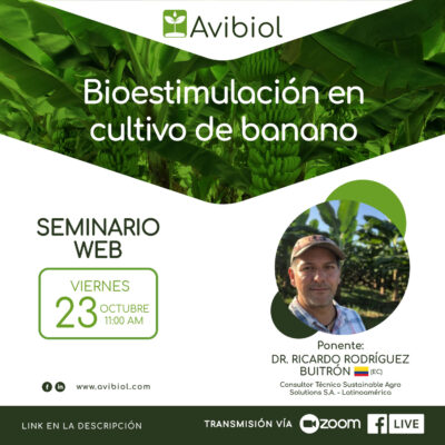 Bioestimulación en cultivo de banano