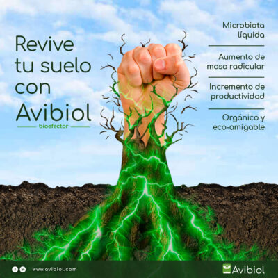 Revive tu suelo con Avibiol Bioefector